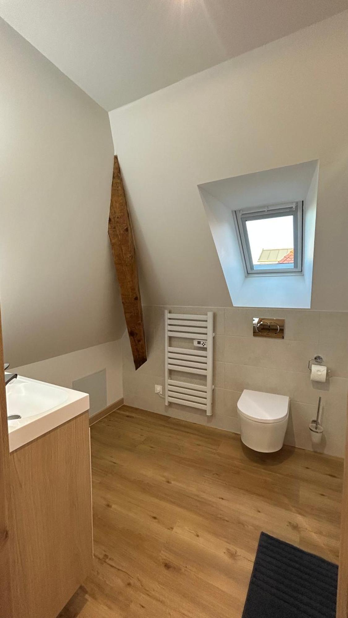 Appartement Moderne Et Spacieux, A 10 Min De La Gare Colmar Bagian luar foto