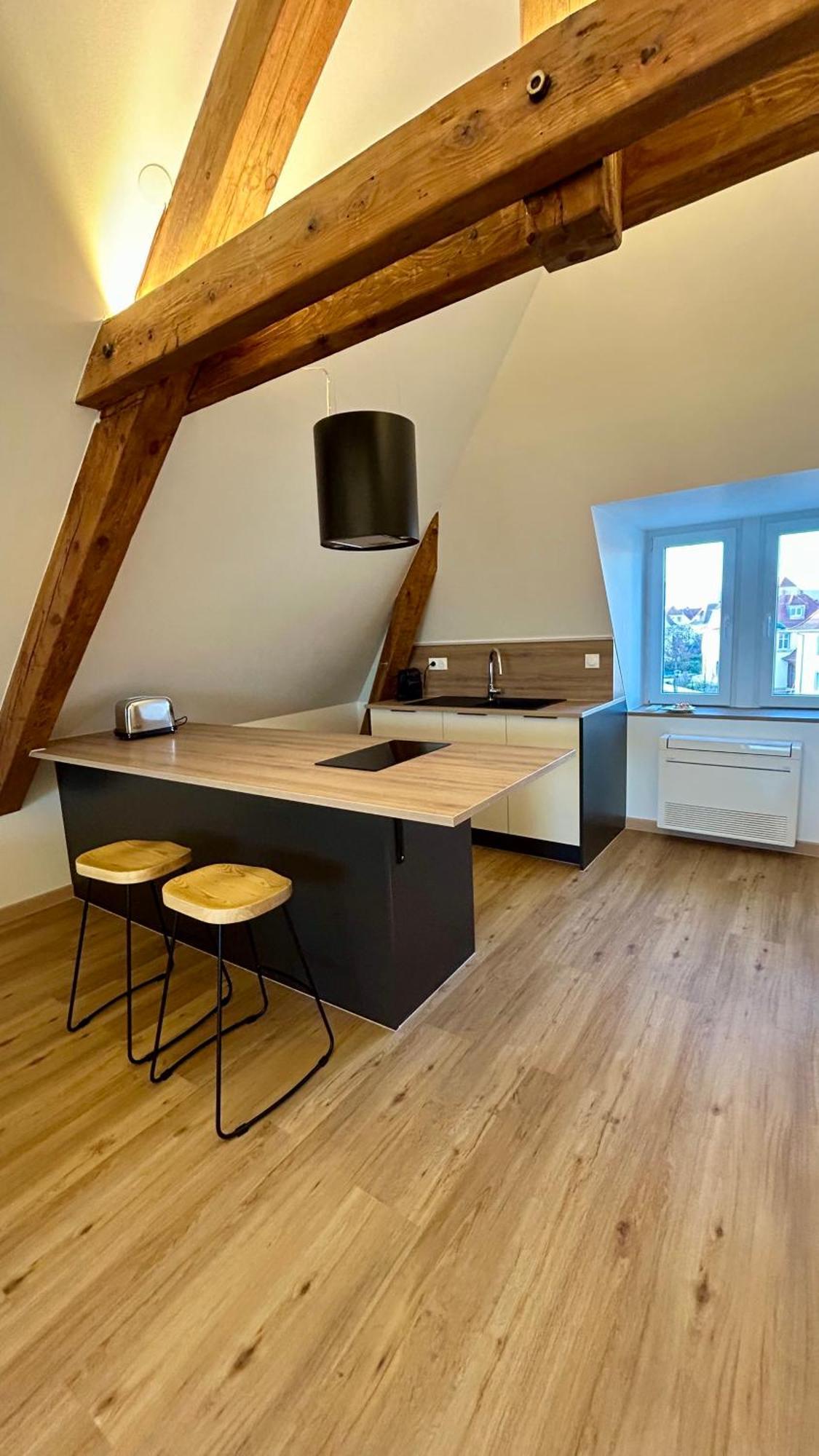 Appartement Moderne Et Spacieux, A 10 Min De La Gare Colmar Bagian luar foto