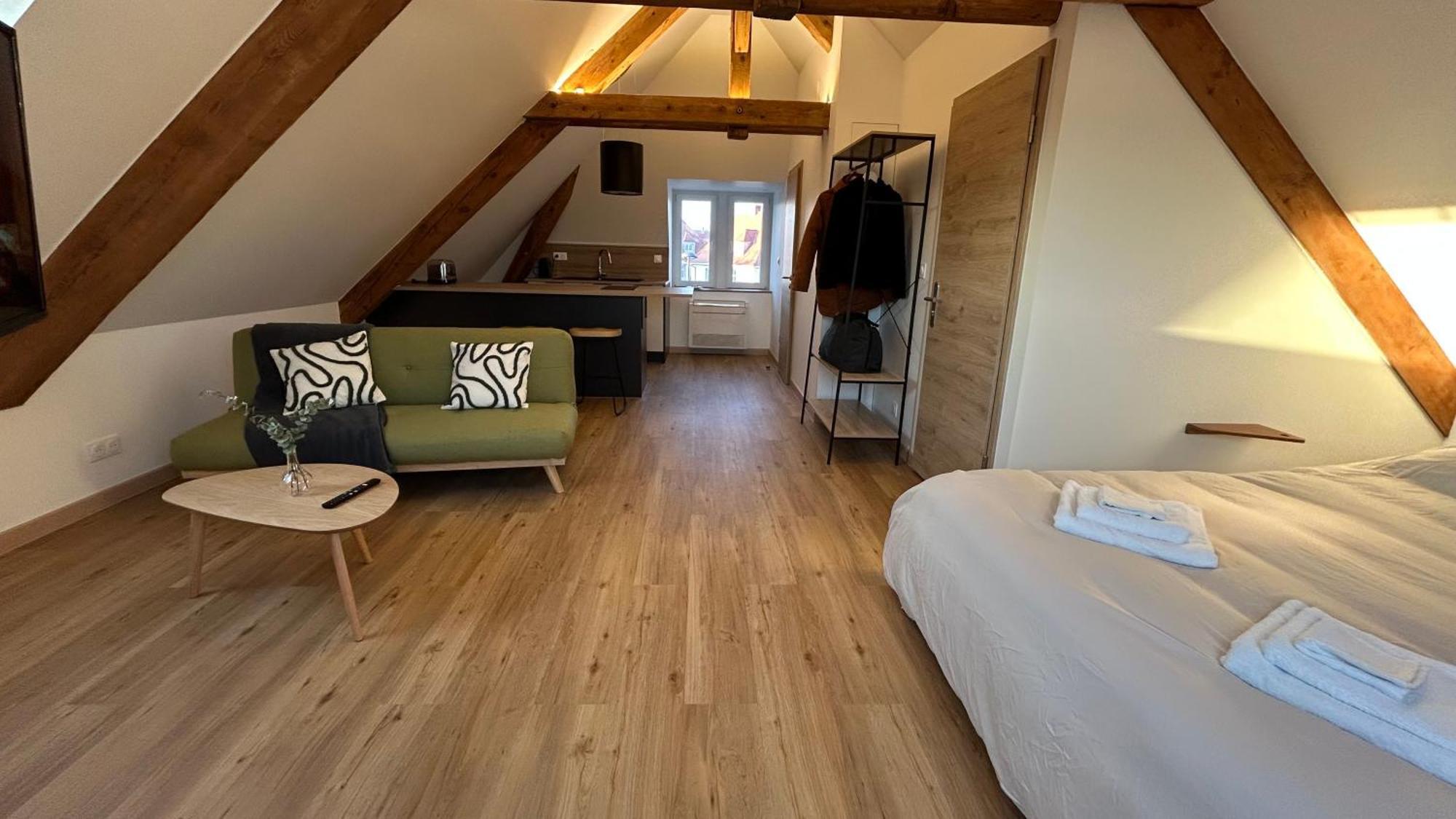Appartement Moderne Et Spacieux, A 10 Min De La Gare Colmar Bagian luar foto