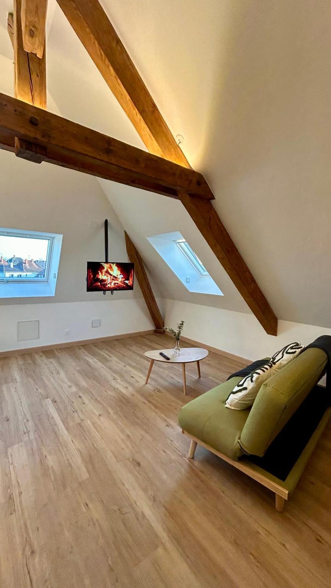 Appartement Moderne Et Spacieux, A 10 Min De La Gare Colmar Bagian luar foto