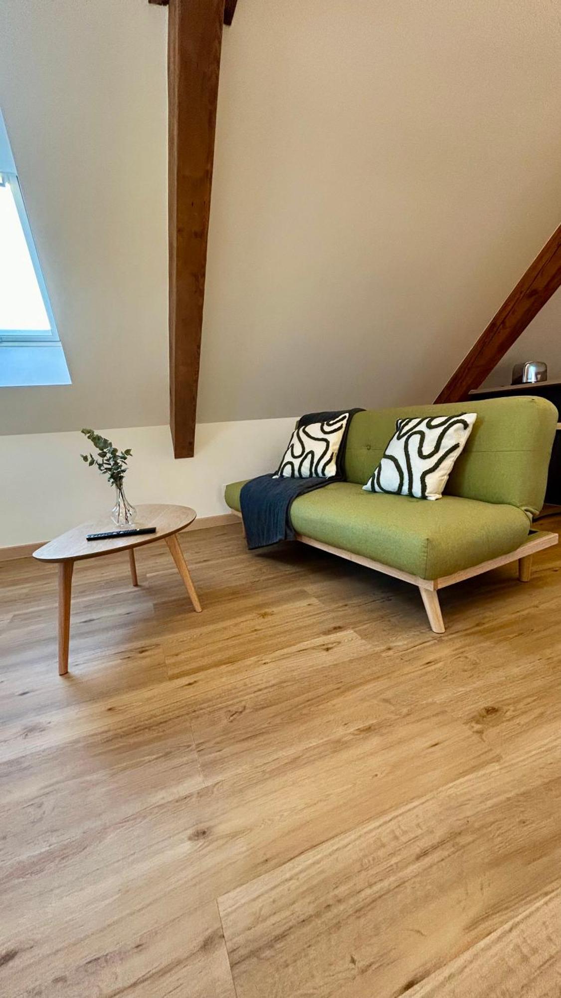 Appartement Moderne Et Spacieux, A 10 Min De La Gare Colmar Bagian luar foto